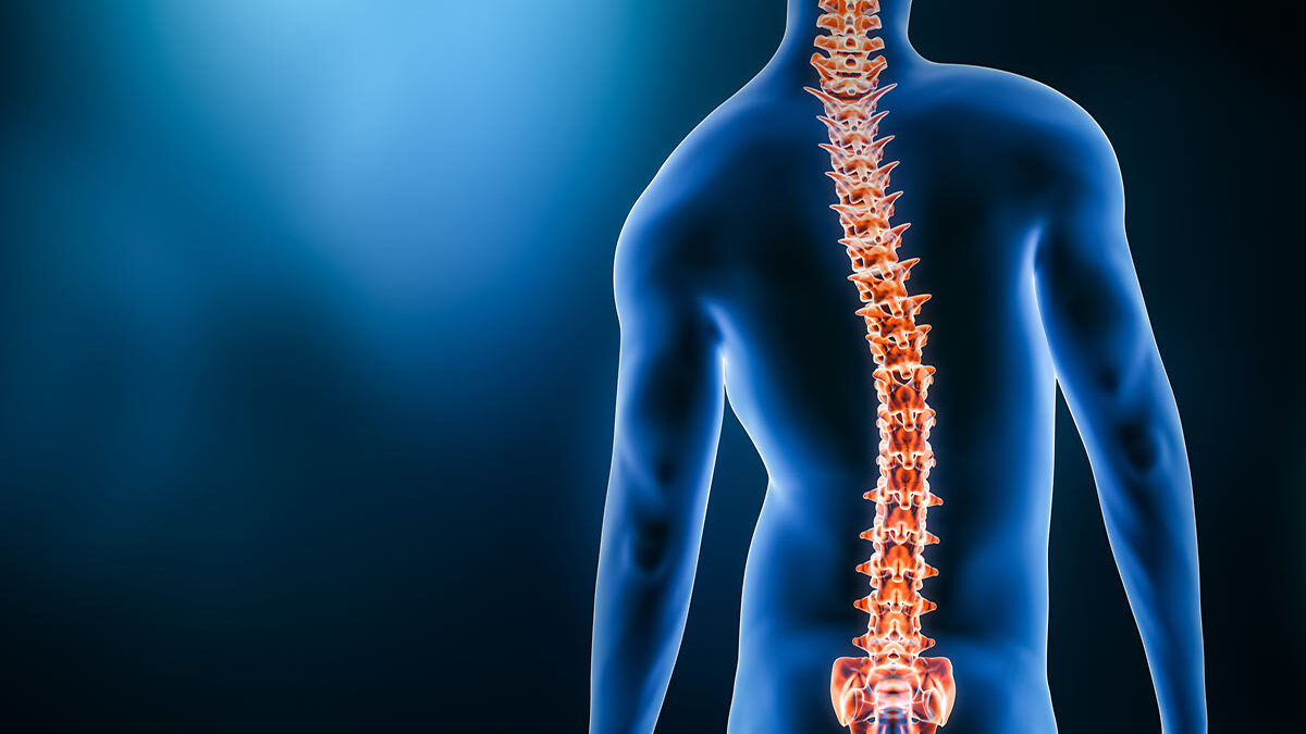 Why you should see a Neurosurgeon for your spine pain Why you should see a Neurosurgeon for your spine pain